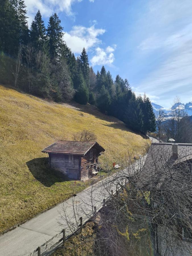 Apartament Traditional Chalet In Wengen - Top Floor Zewnętrze zdjęcie