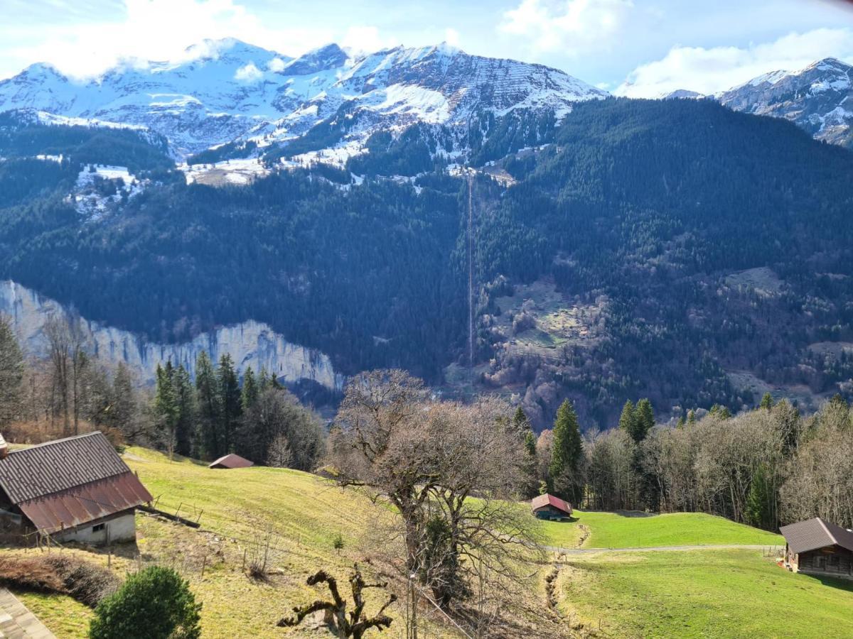 Apartament Traditional Chalet In Wengen - Top Floor Zewnętrze zdjęcie