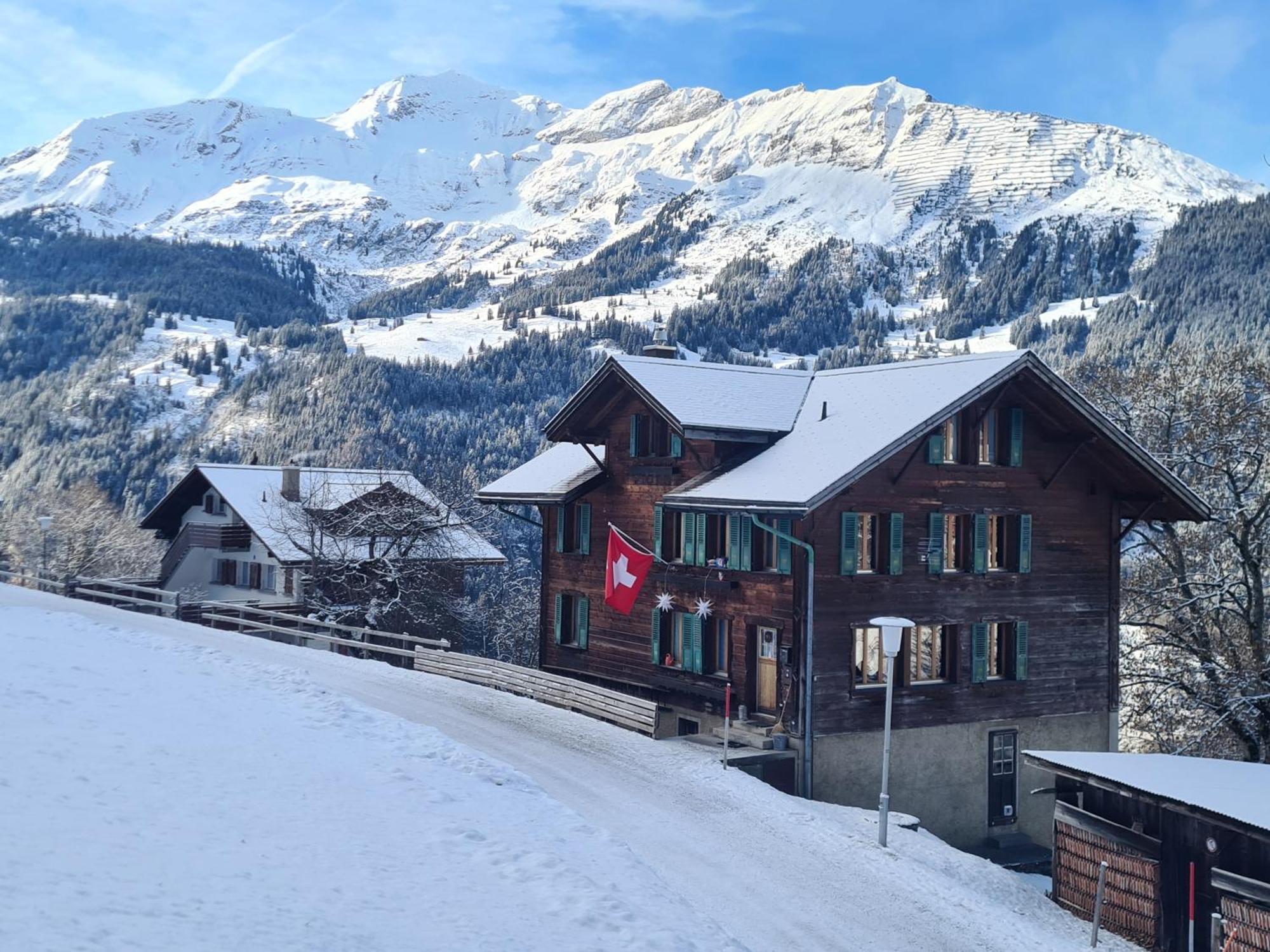 Apartament Traditional Chalet In Wengen - Top Floor Zewnętrze zdjęcie